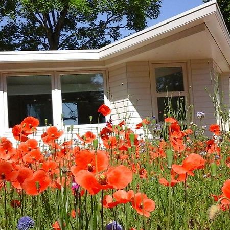 Villa Het Findament Tiny House Hilversum Exterior foto